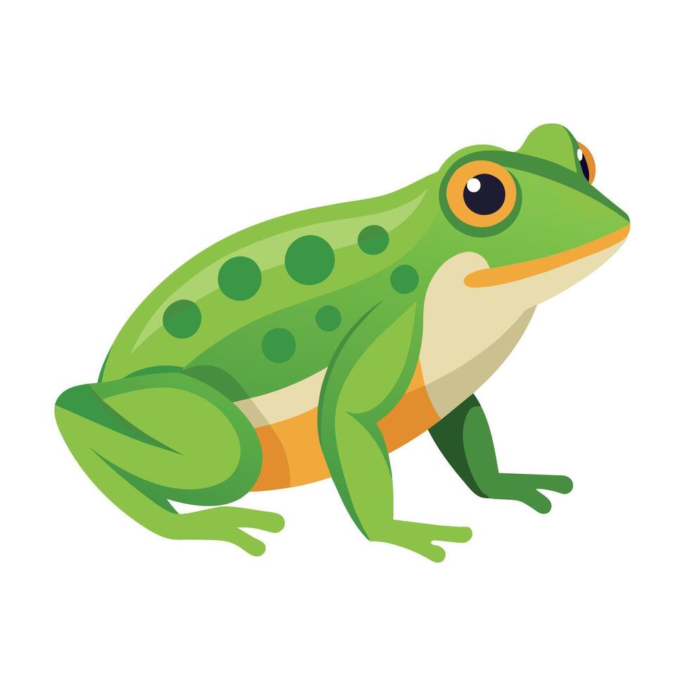 Frog Simple graphics illustration vector