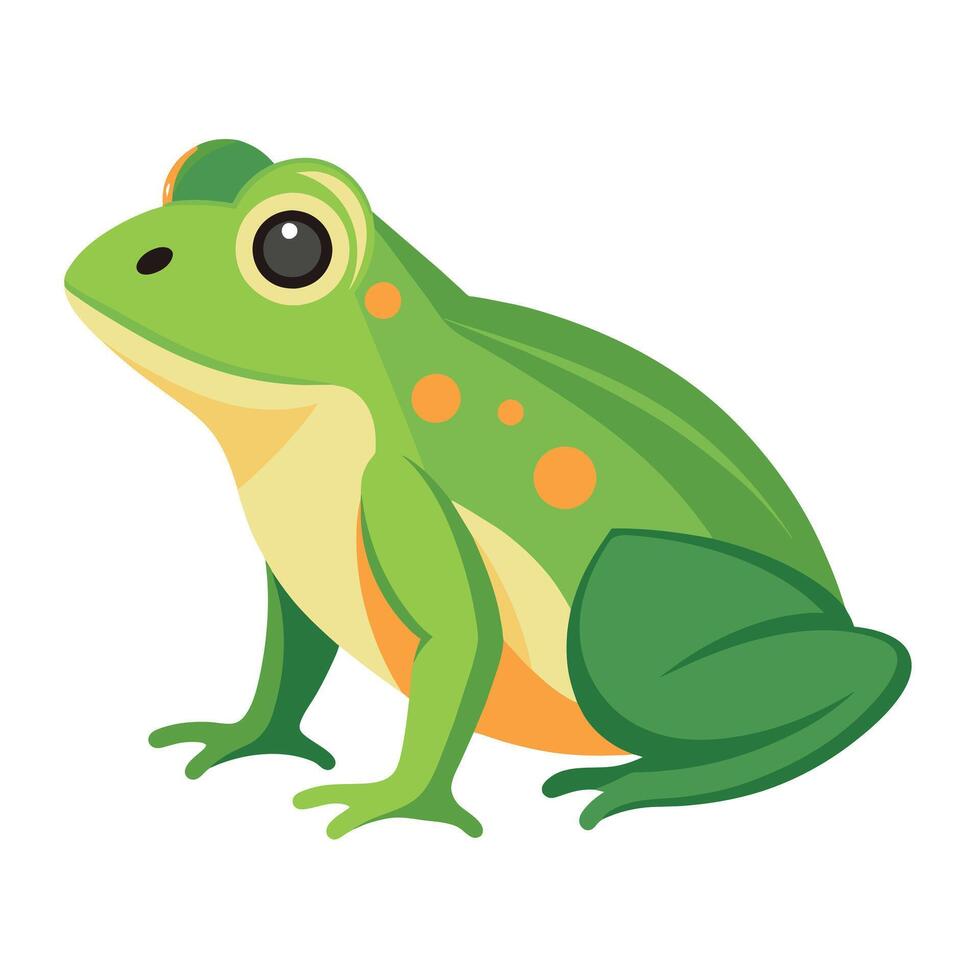Frog Simple graphics illustration vector