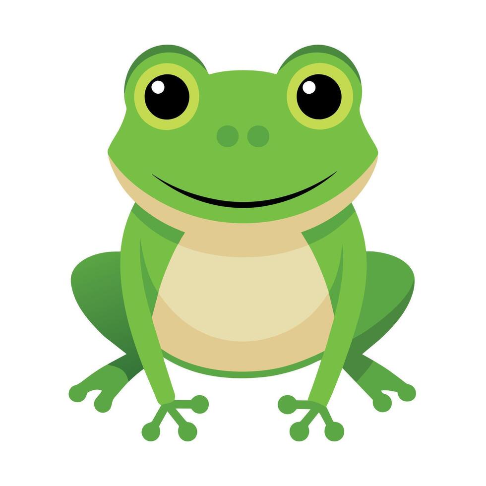 Frog Simple graphics illustration vector