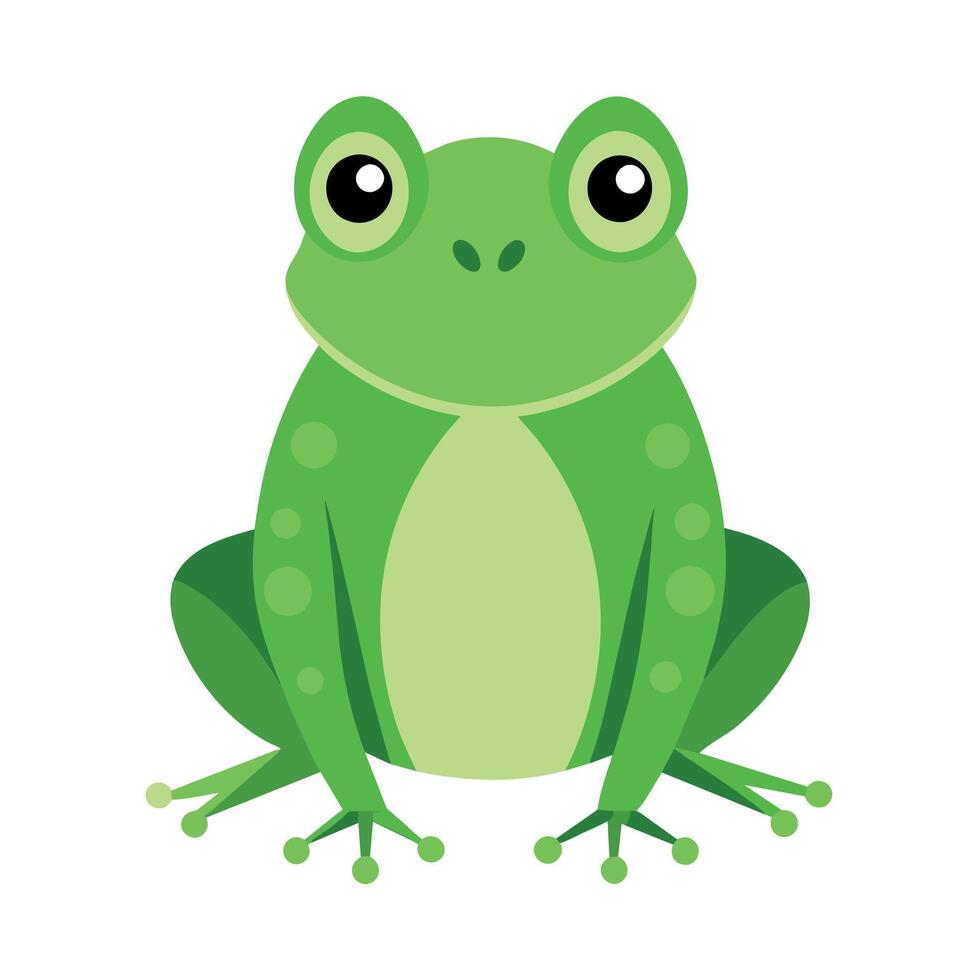 Frog Simple graphics illustration vector
