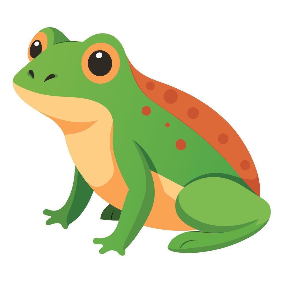 Frog Simple graphics illustration vector