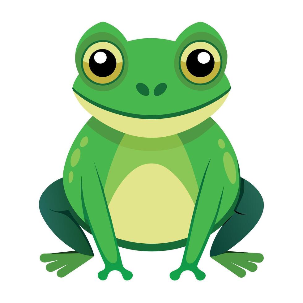 Frog Simple graphics illustration vector