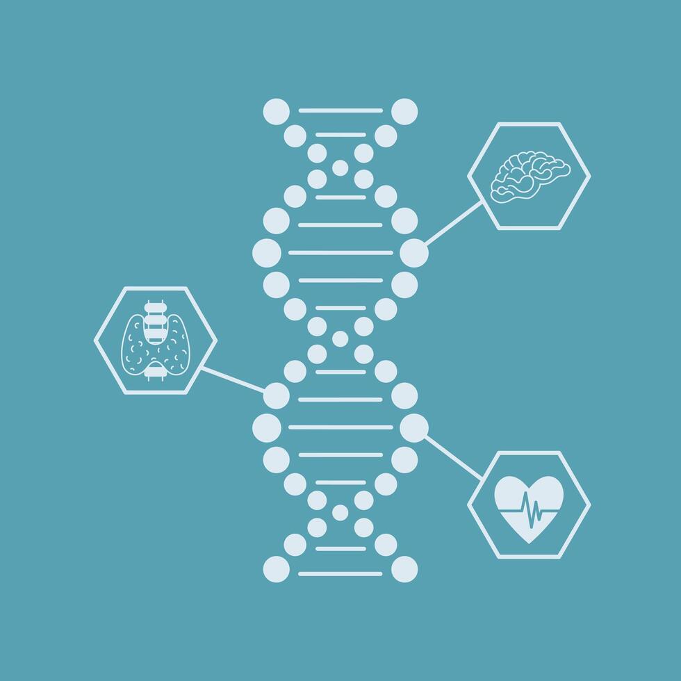 DNA model research testing line icon on blue backrgound vector