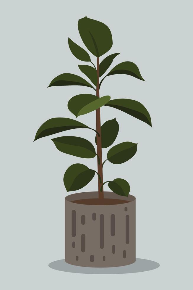 plantas en ollas con denso follaje. con un llanura antecedentes. minimalista hogar decoración. vector