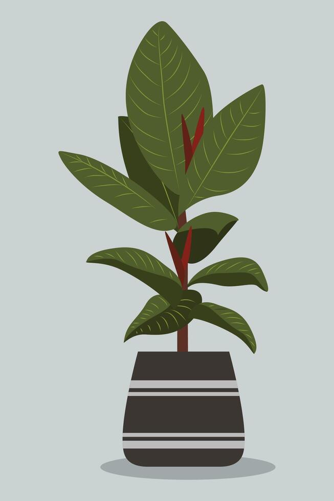 planta en verde follaje maceta. con un llanura antecedentes. minimalista hogar decoración. vector