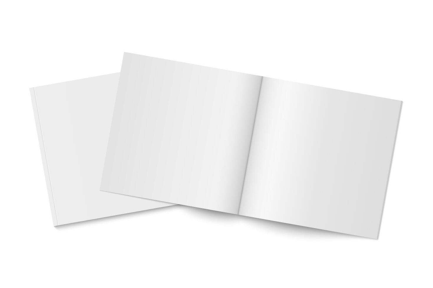 mockup of two white paperback magazines with shadow. vector