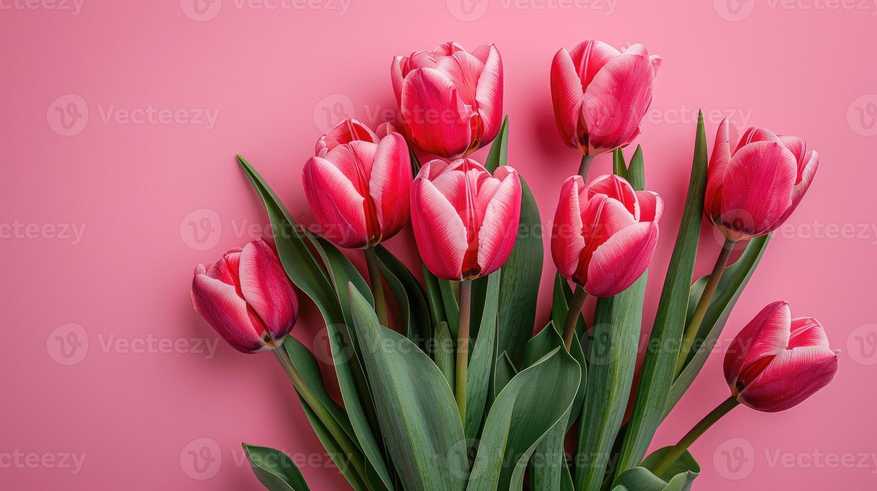 Bouquet of pink tulips on a pastel pink background, top view with copy space. photo