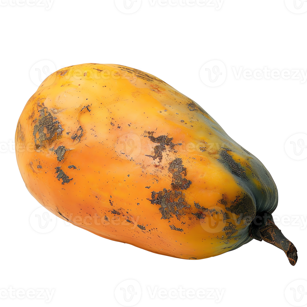 färsk papaya transparent bild bild png