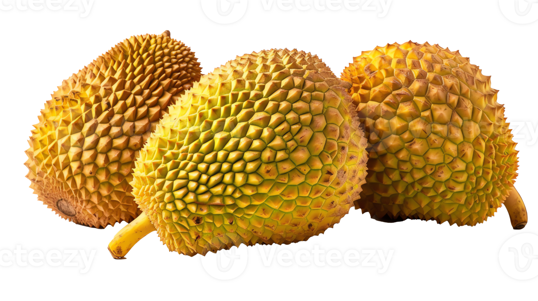 fresh jackfruits transparent picture png