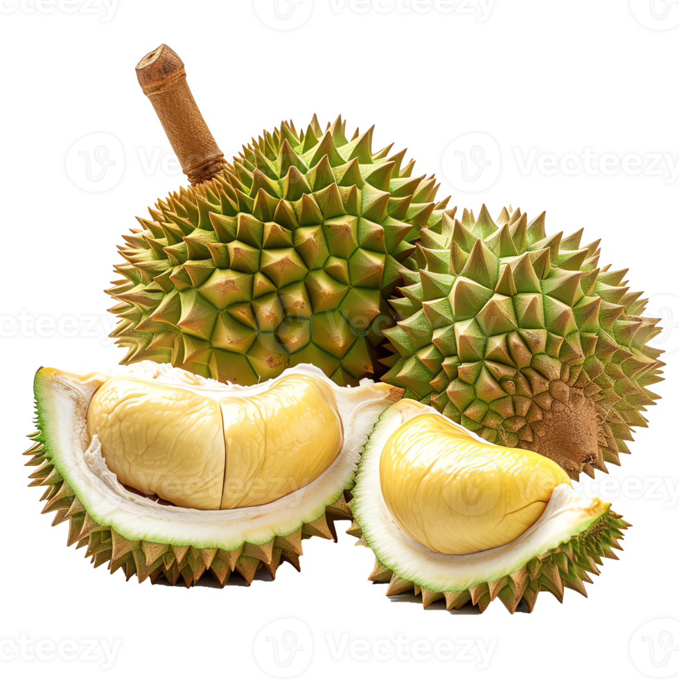 färsk Durian transparent bild png