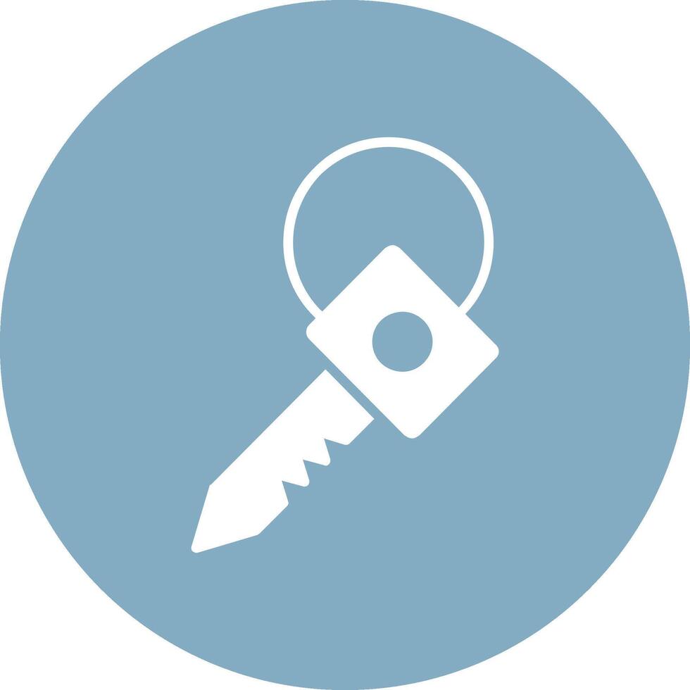 Key Glyph Multi Circle Icon vector