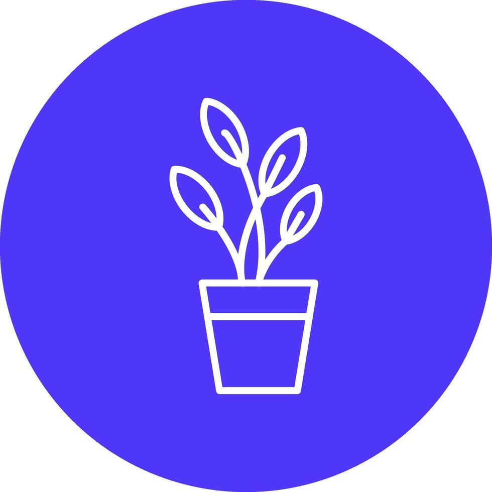 Dumb Cane Line Multi Circle Icon vector