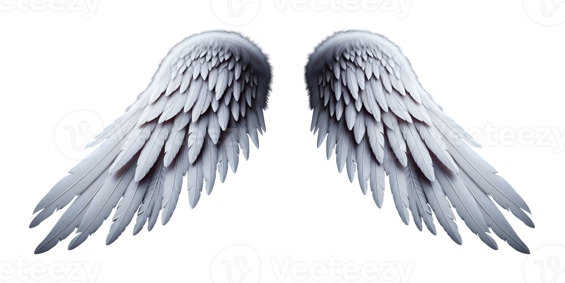 White angel wings. png