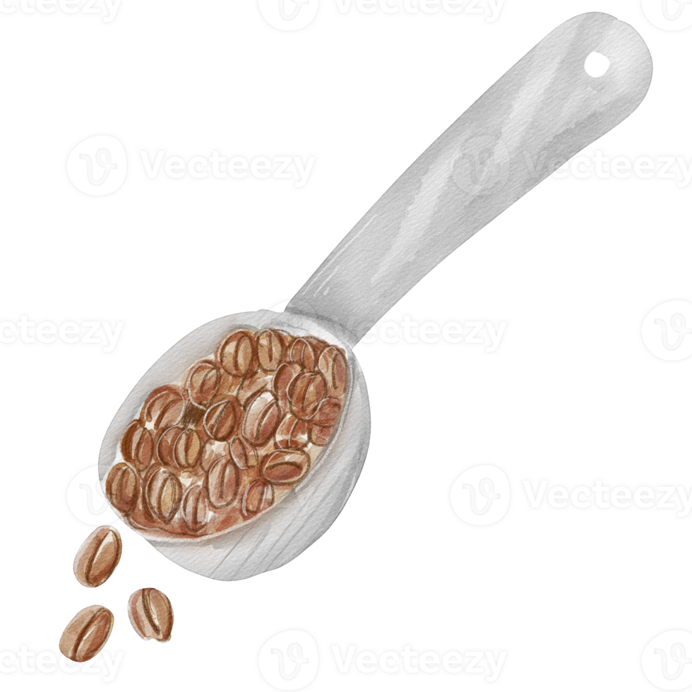 waterverf koffie Boon png