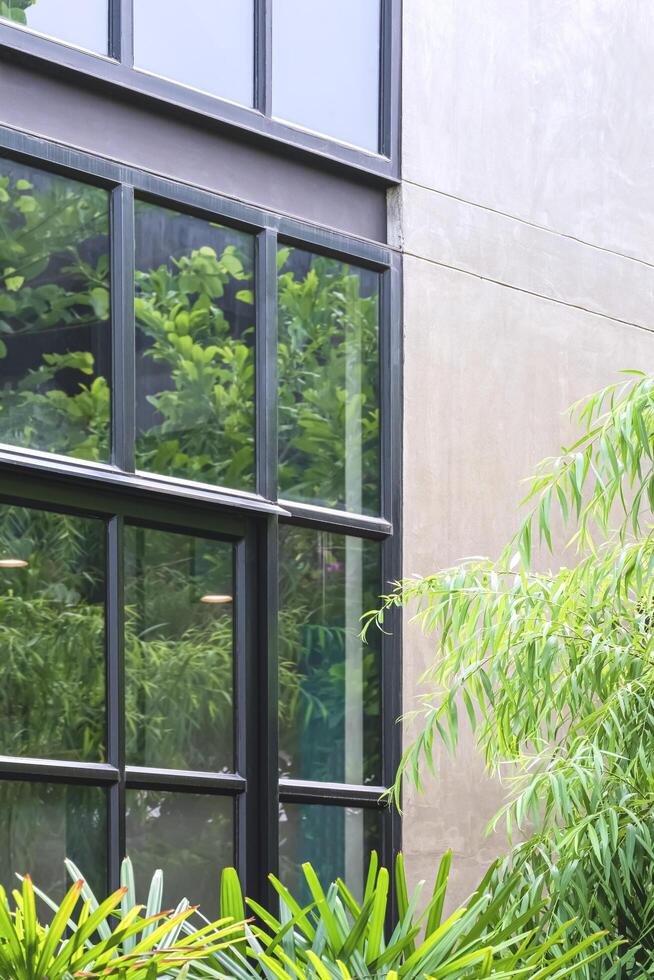 Background of glass and cement wall of vintage house in loft style with green plant in vertical frame photo