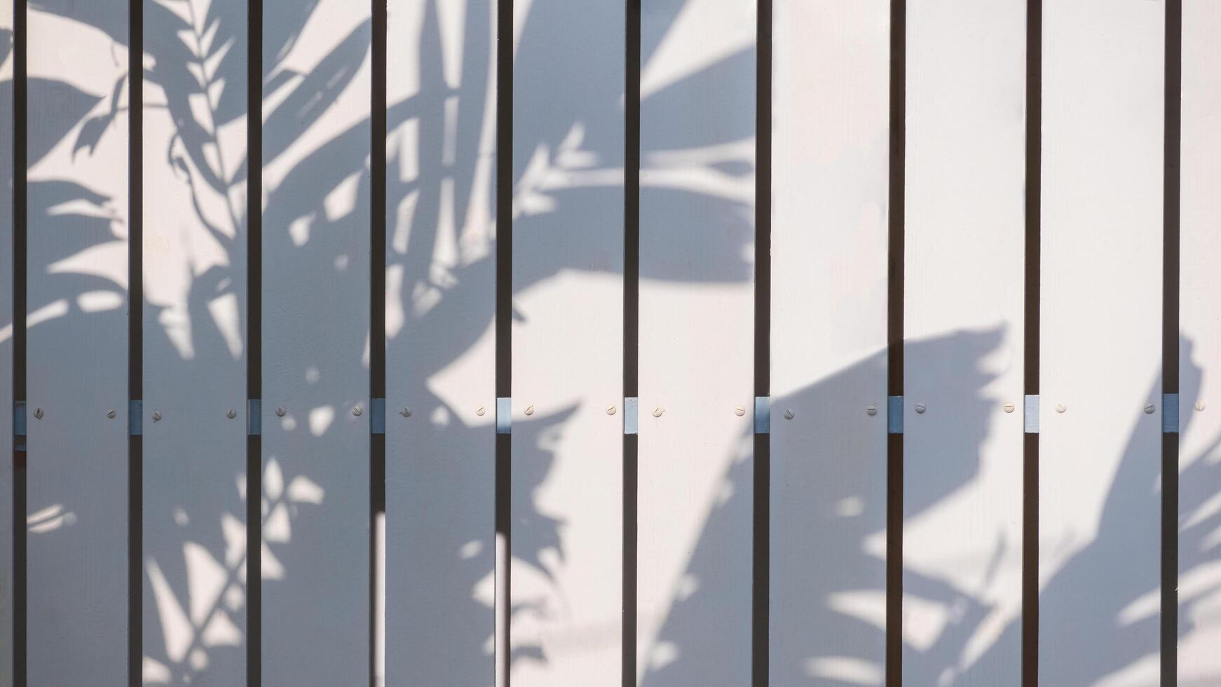 antecedentes de blanco de madera cerca pared con luz de sol y palma rama sombra en superficie foto