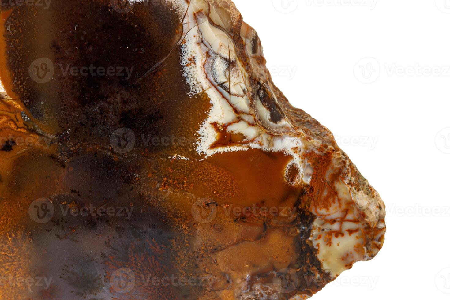 Macro stone Jasper mineral on white background photo