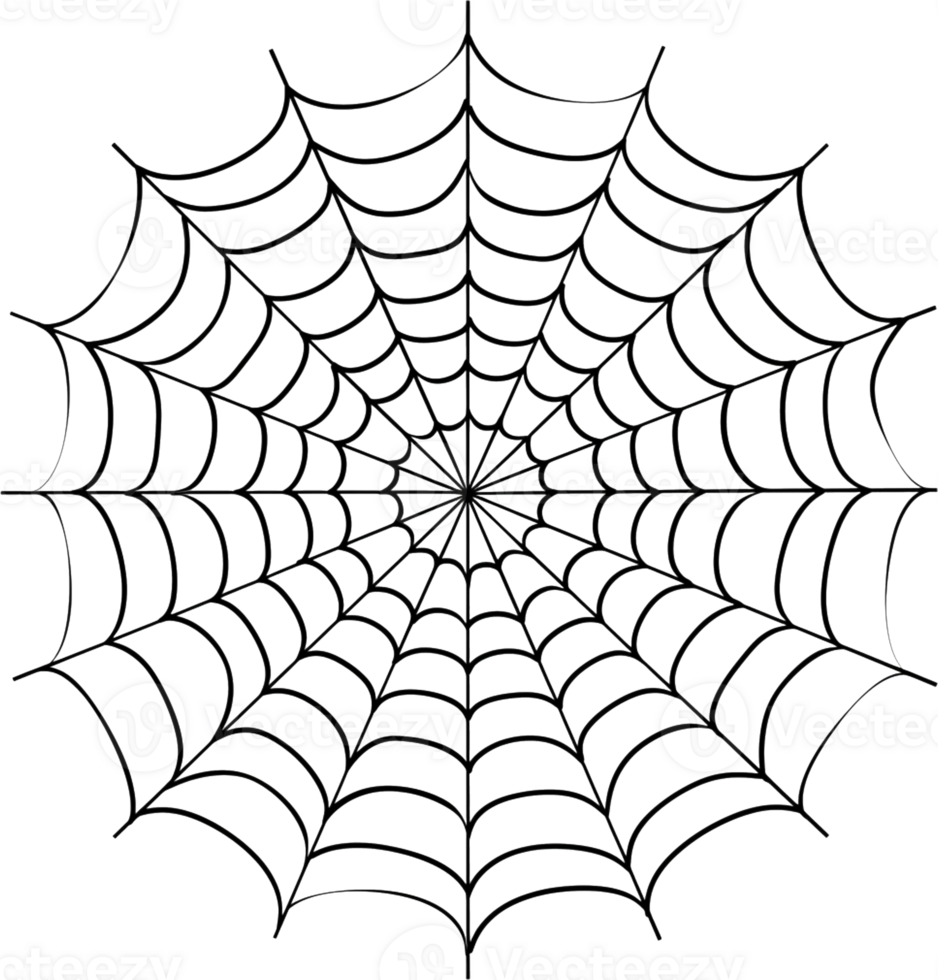 A simple line drawing of the shape of spider web png