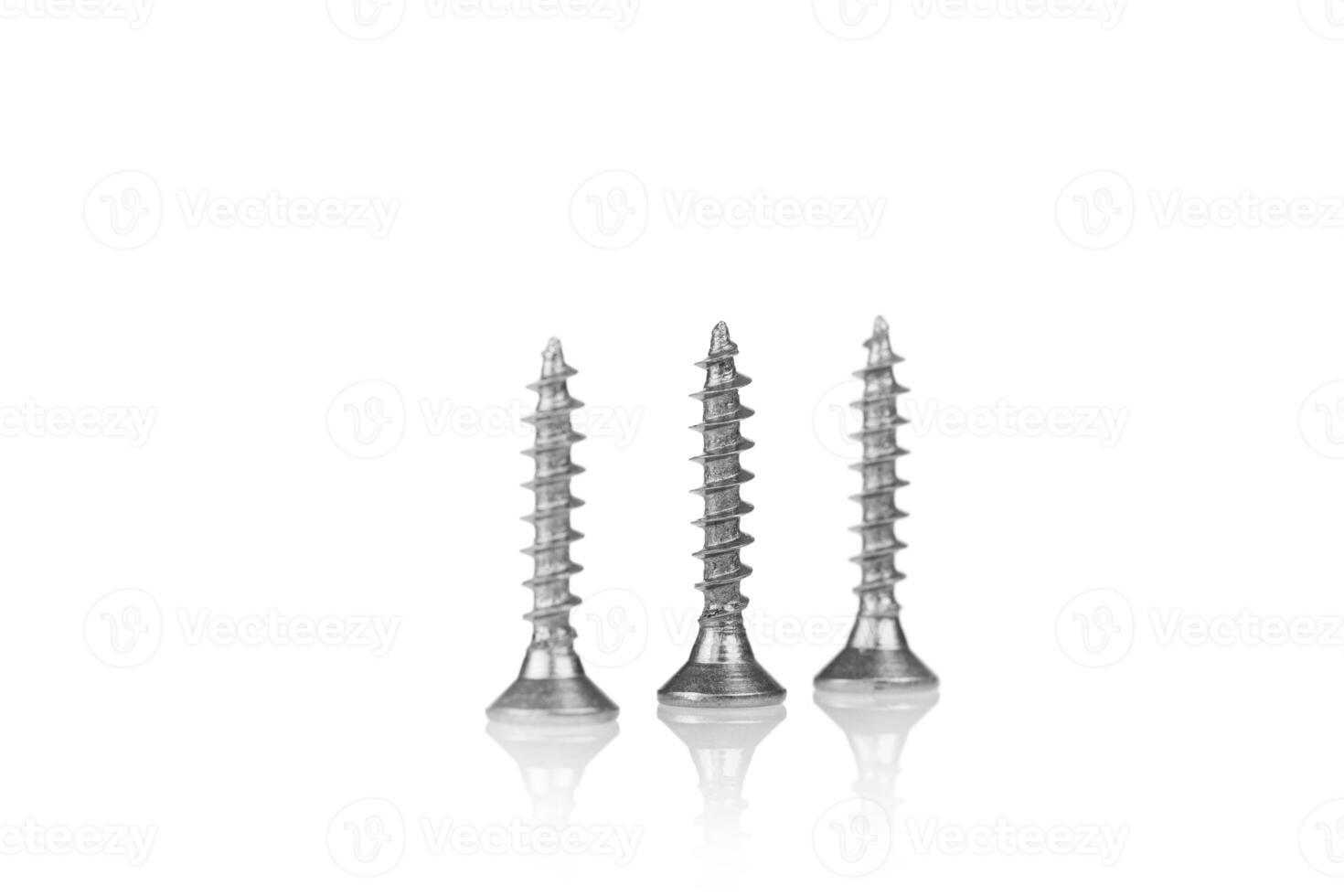 macro screw of silver color on a white background photo