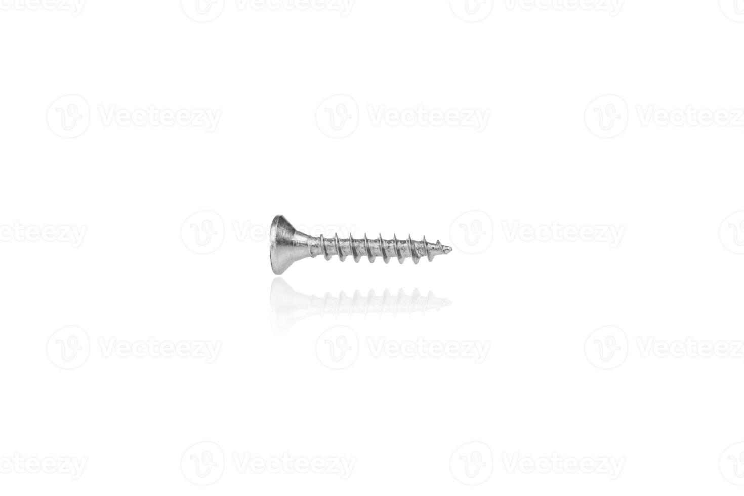 macro screw of silver color on a white background photo