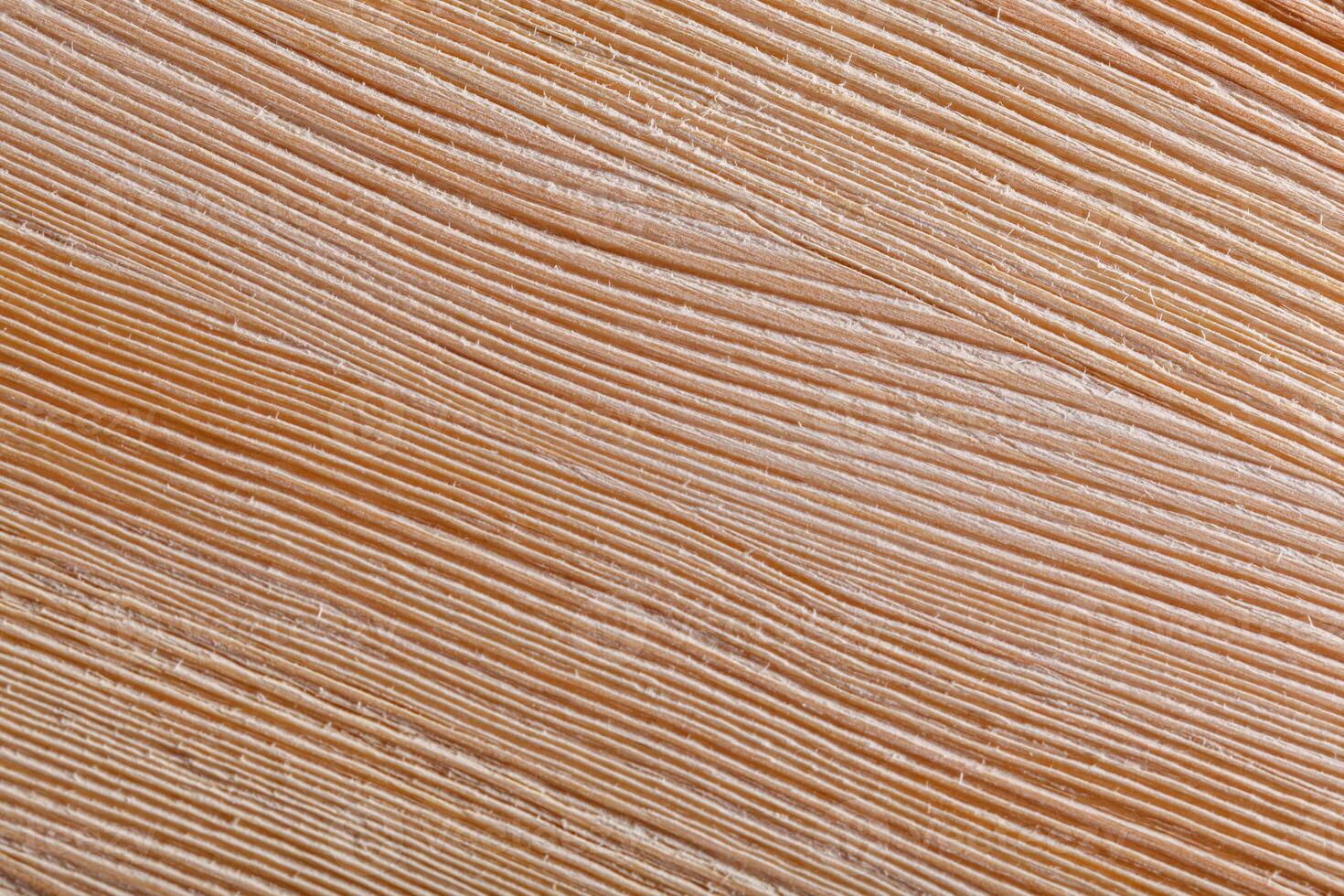 wooden board with texture after processing photo
