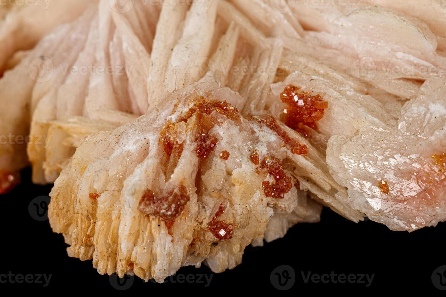 Macro stone Vanadinite Baryte mineral on a black background photo