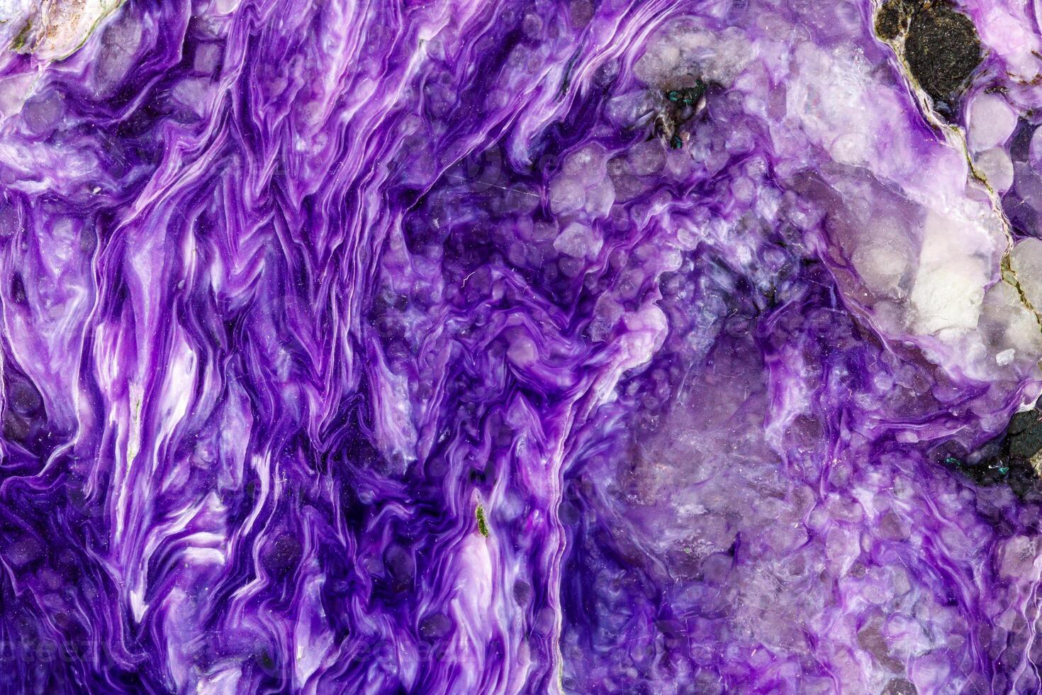 Macro stone Charoite mineral on white background photo