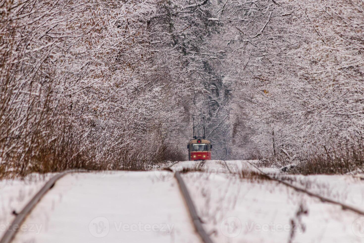 An old tram moving through a winter forest photo