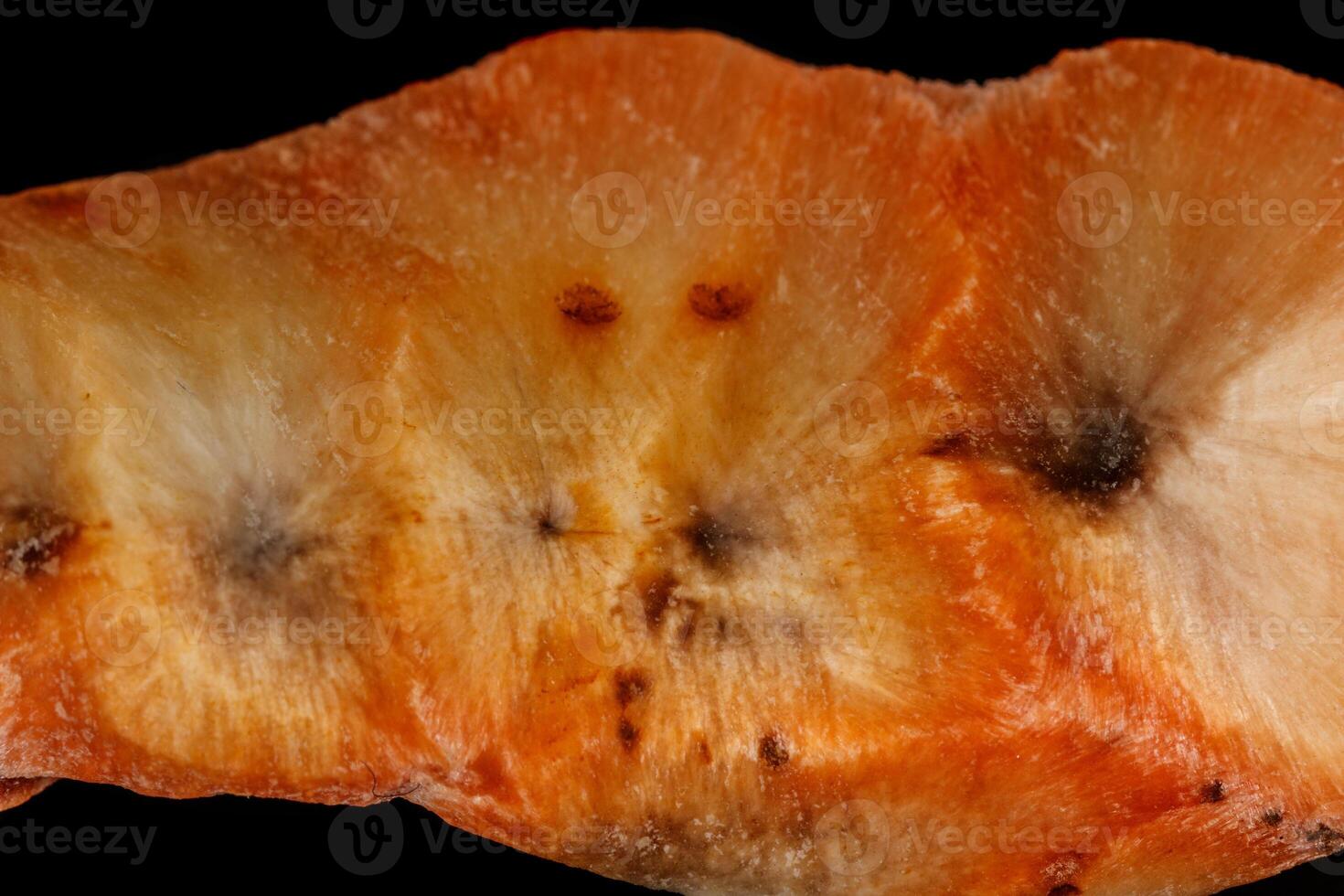 Macro stone Apophyllite mineral on black background photo