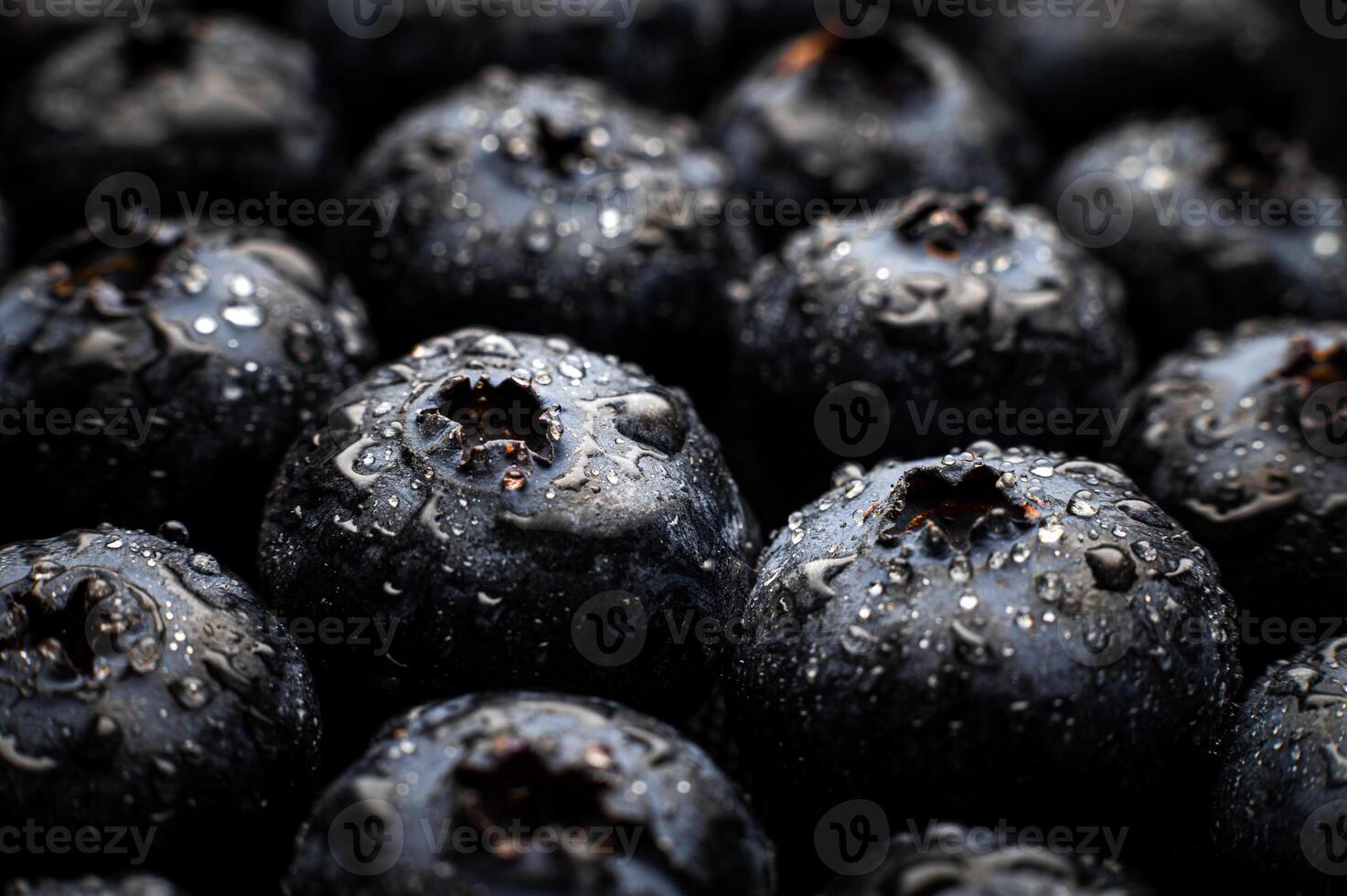 Wet fresh Blueberry background. Studio macro shot photo