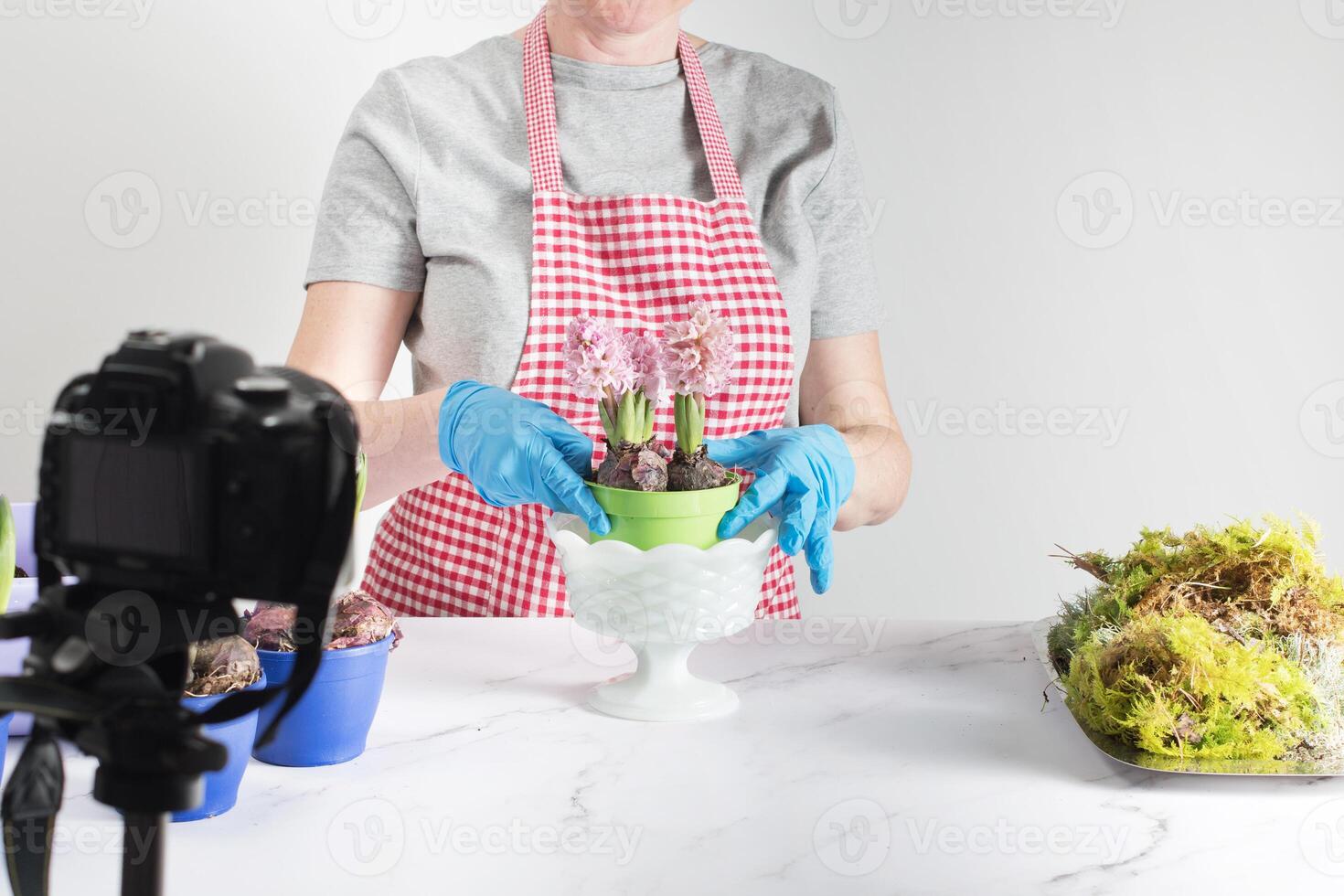 blogueando, un mujer plantando primavera flores y rodaje un paso a paso para un Blog, a mano plantando primavera flores en un maceta de tierra. foto