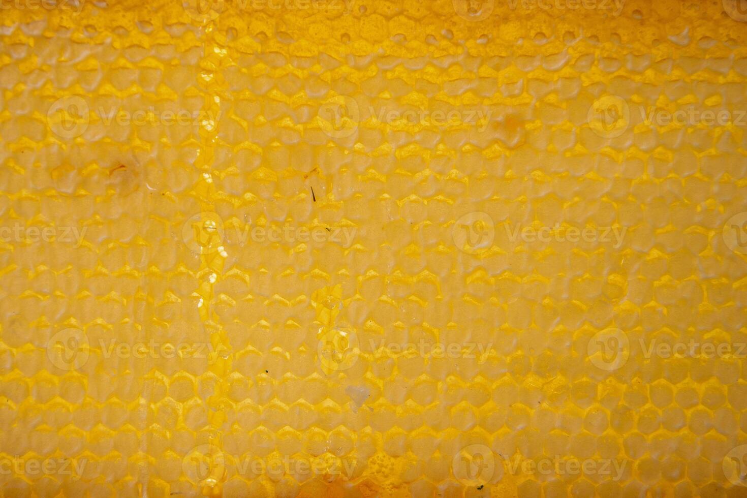 texture of amber honeycombs with organic honey of bright yellow amber color, hexagonal cells in honeycombs photo