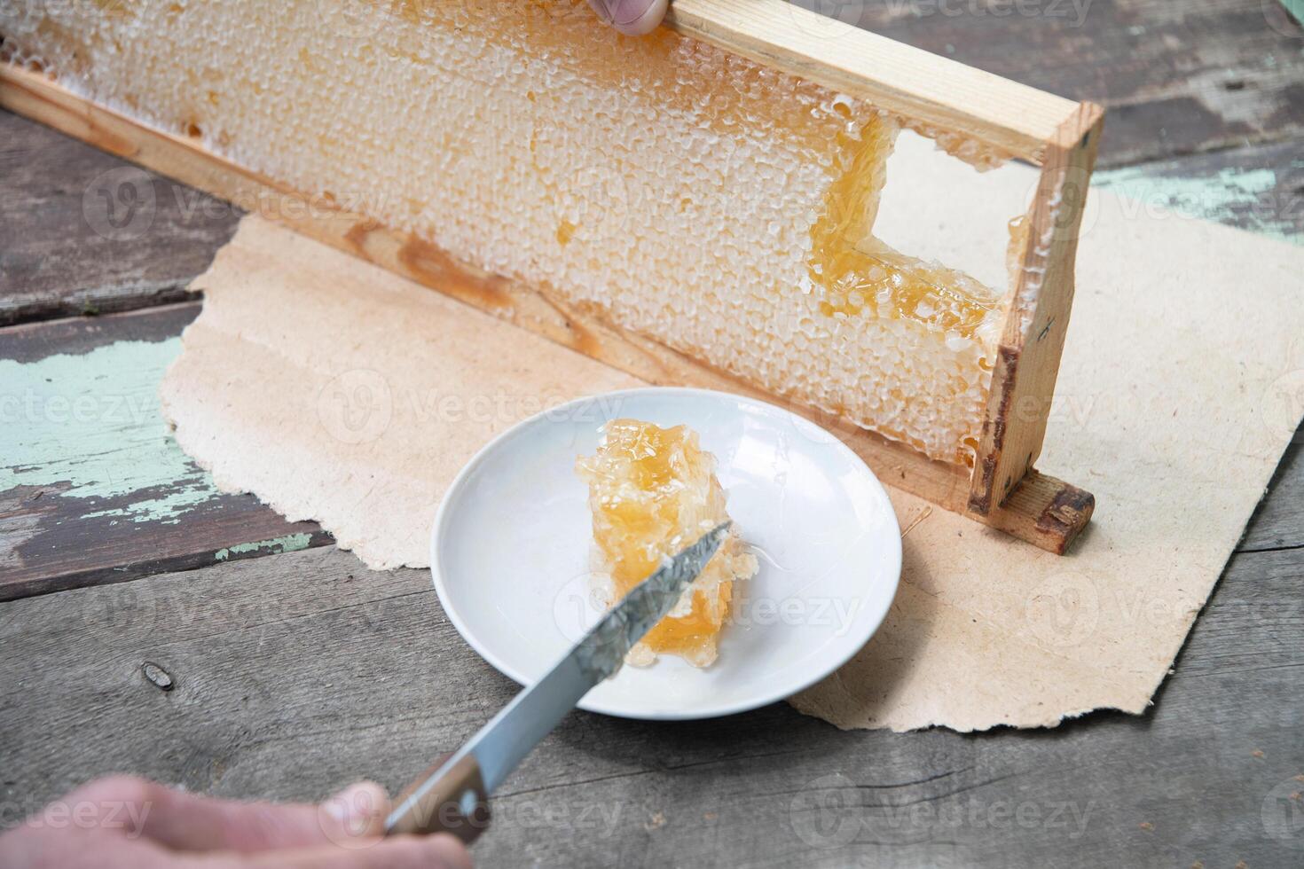 man cuts honeycombs from a honey frame with a knife for eating for tea, honey in honeycombs is good for the health photo