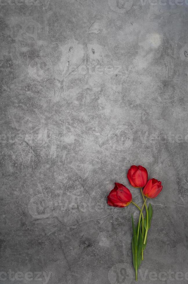rojo tulipanes en gris cemento antecedentes minimalismo parte superior vista, Pascua de Resurrección decoración, primavera foto