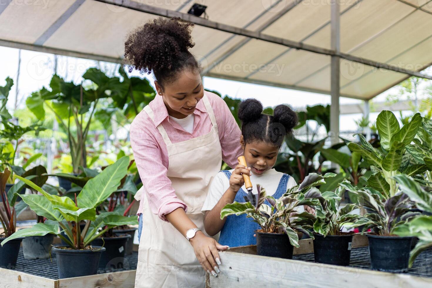 African mother is teaching her daughter to grow ornamental houseplant using trowel to put organics compost in their own nursery garden center concept photo