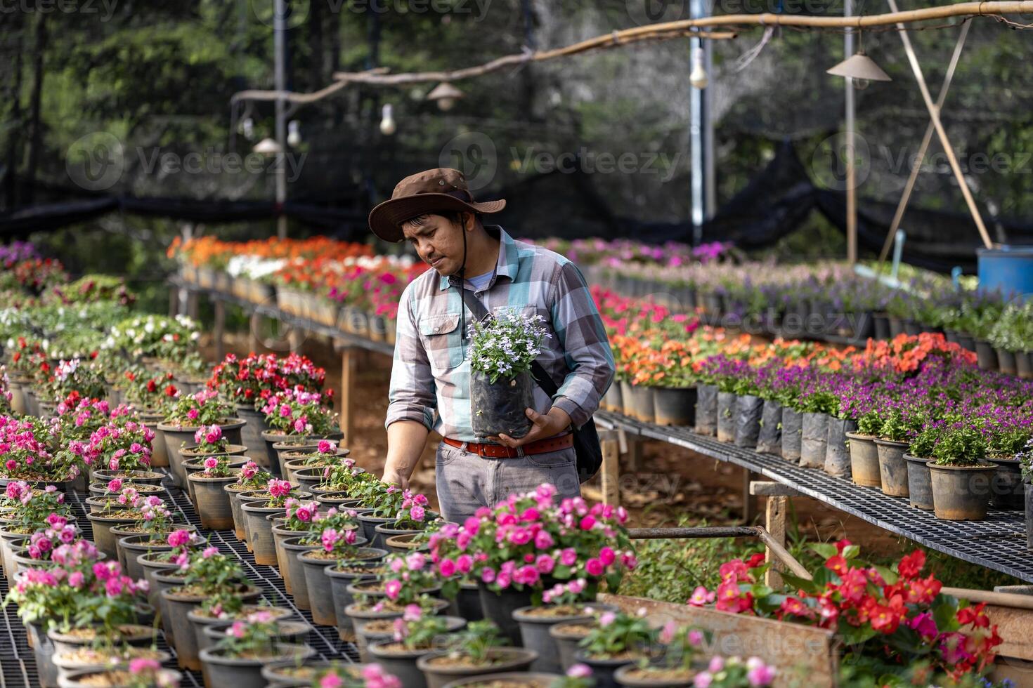 joven asiático jardinero es elegir floración planta desde el local jardín centrar guardería lleno de verano planta para fin de semana jardinería y al aire libre pasatiempo foto