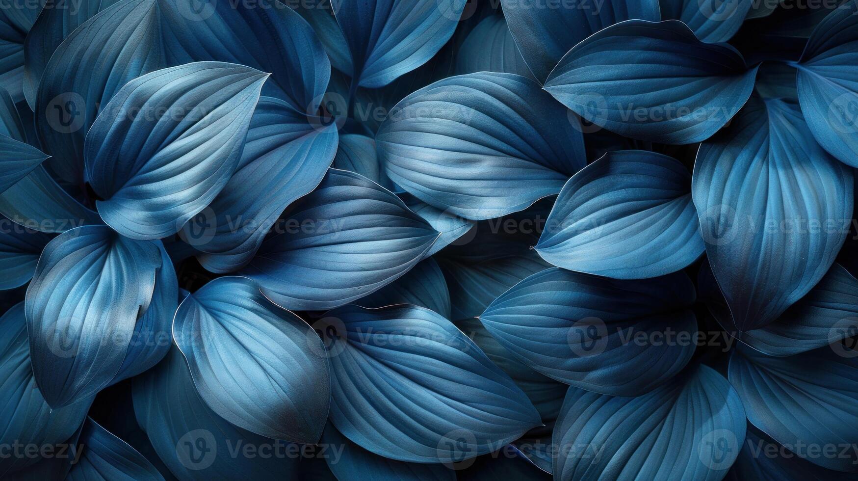 un denso racimo de azul flores agrupado cercanamente juntos foto
