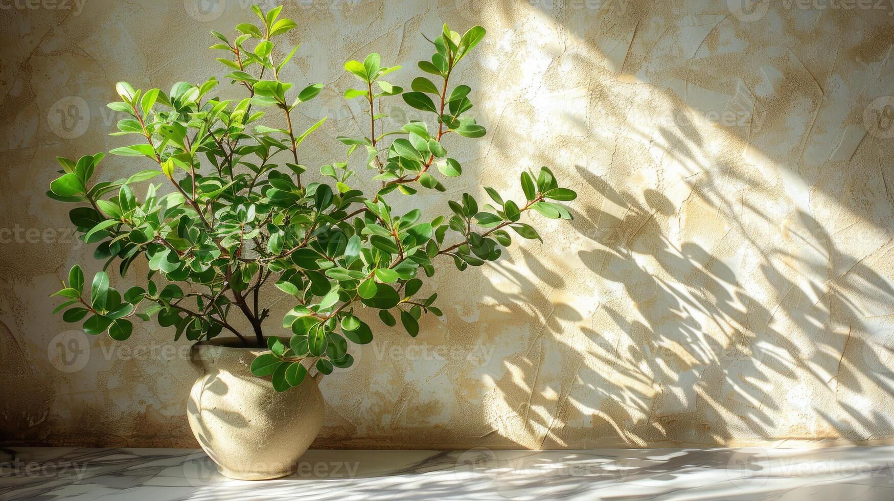 A potted plant placed on a table photo