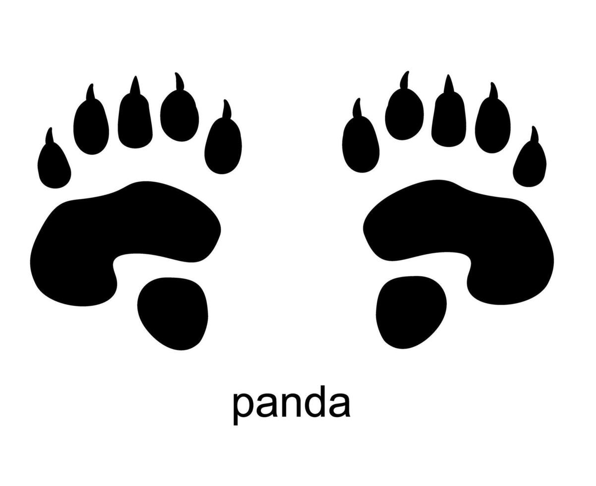 Panda track, Panda foot print. Bear paw step in black color. Black Silhouette Design vector