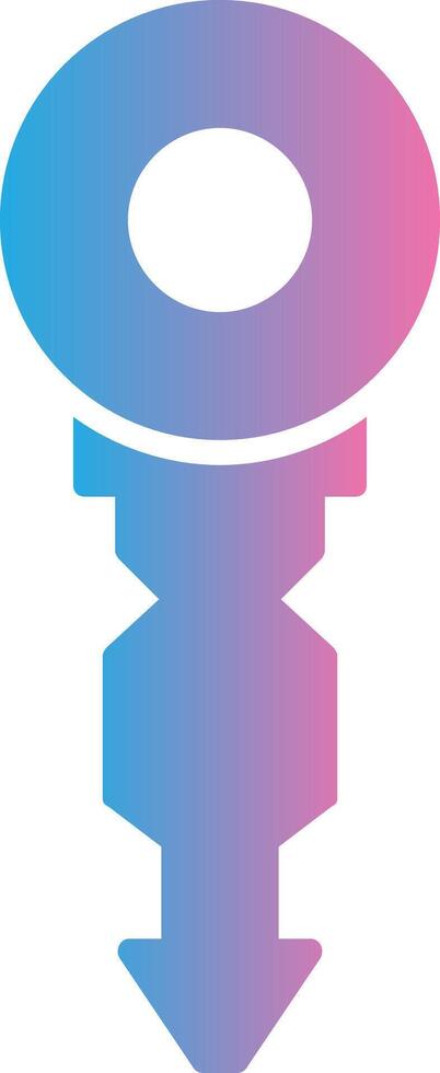 Key Glyph Gradient Icon Design vector