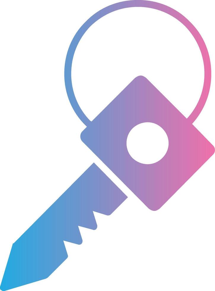 Key Glyph Gradient Icon Design vector