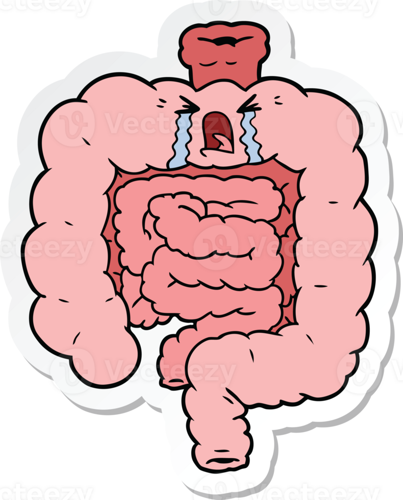 sticker of a cartoon intestines crying png