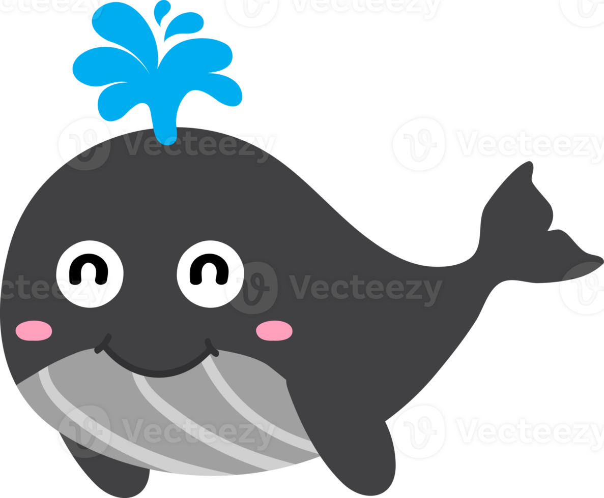 cute whale cartoon, sea animal png