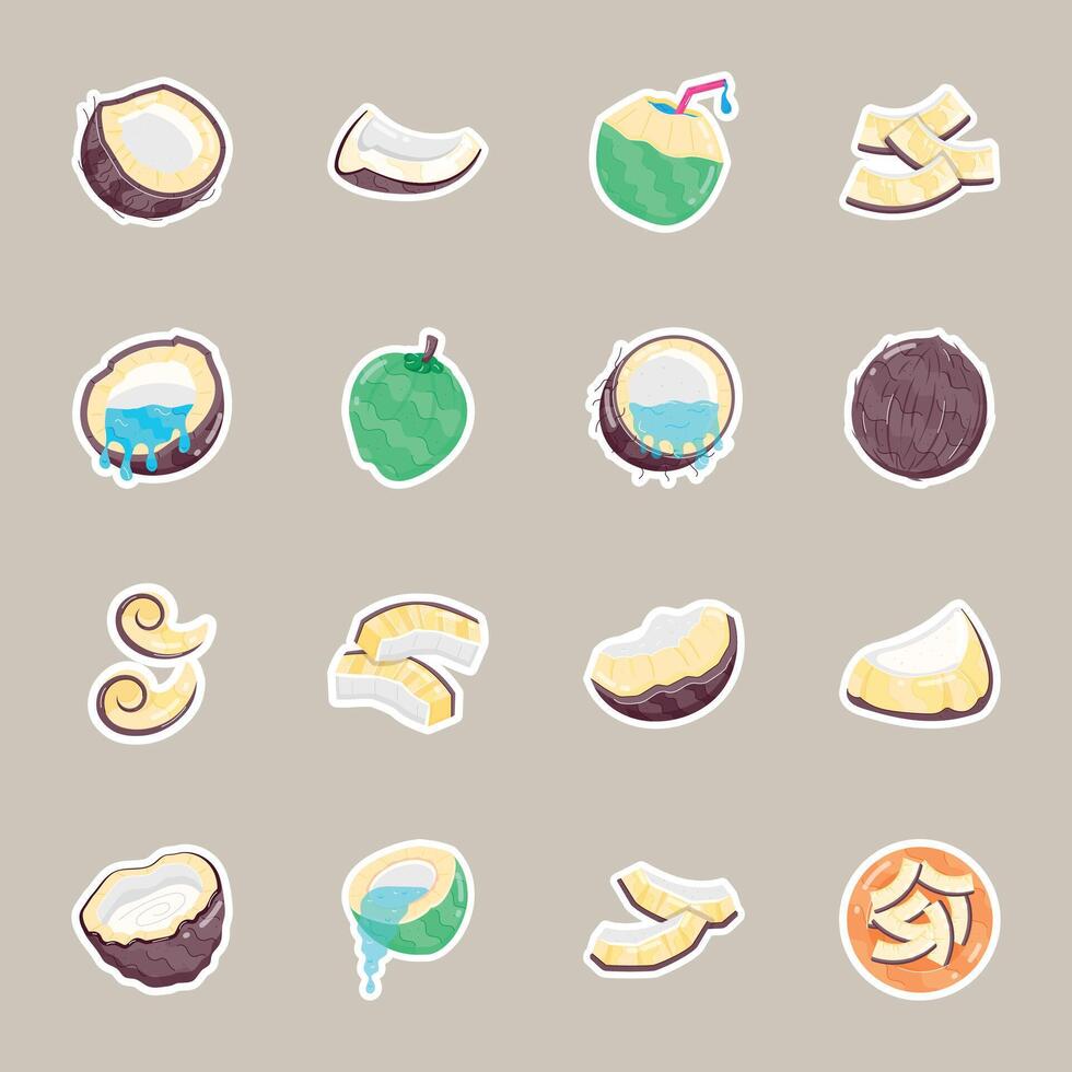 Collection of Dried and Fresh Coconuts Flat Stickers vector