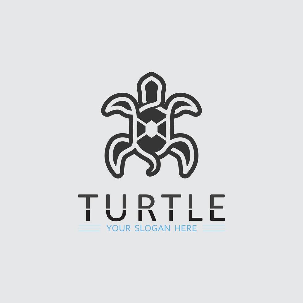 Turtle animal cartoon icon vector