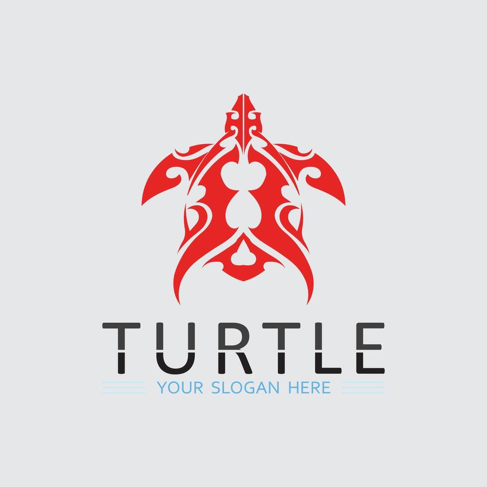 Turtle animal cartoon icon vector