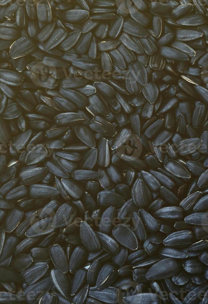 A pattern of many unprocessed fried sunflower seeds in a black shell. photo