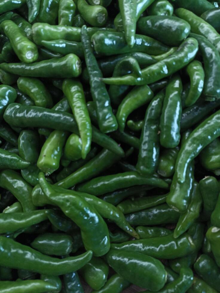 bunch of large green chilies photo