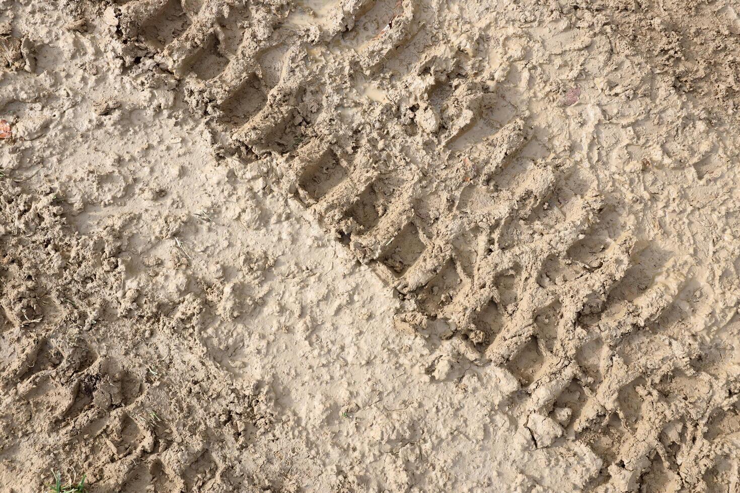 Wheel track on mud. Traces of a tractor or heavy off-road car on brown mud in wet meadow photo
