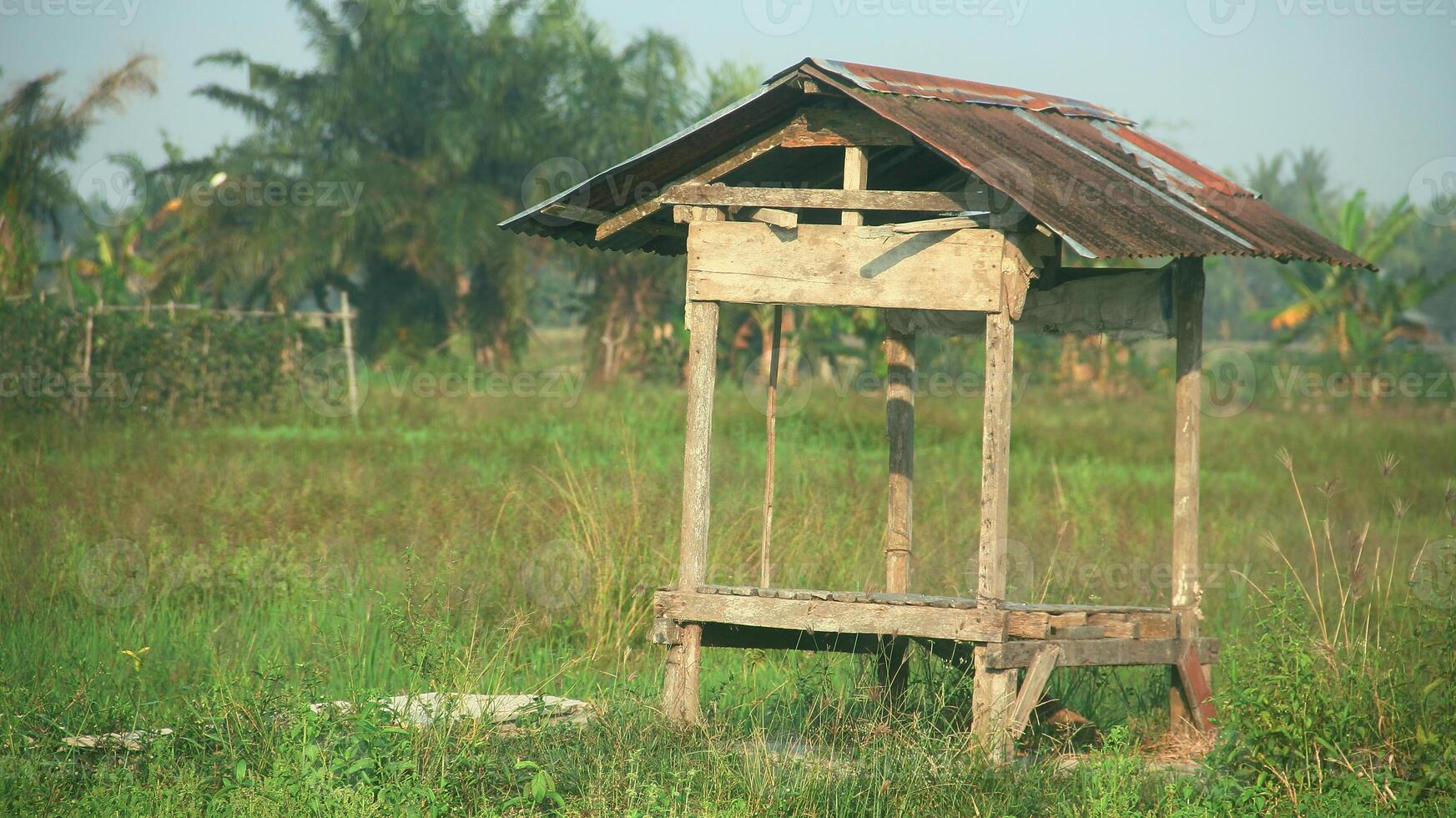 A small hut in the middle of rice fields that farmers usually use to rest from the sun photo